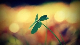 我们的人生是在“演”，还是在“活”？