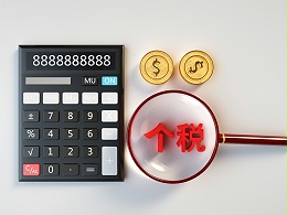 香港公司的雇员个人薪俸税申请缓缴能用什么理由？