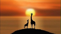 学习的意义只有一个，就是验证我已经拥有圆满具足的生命